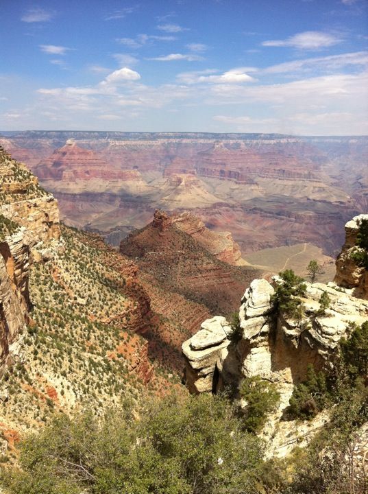 the grand canyon is surrounded by trees and rocks