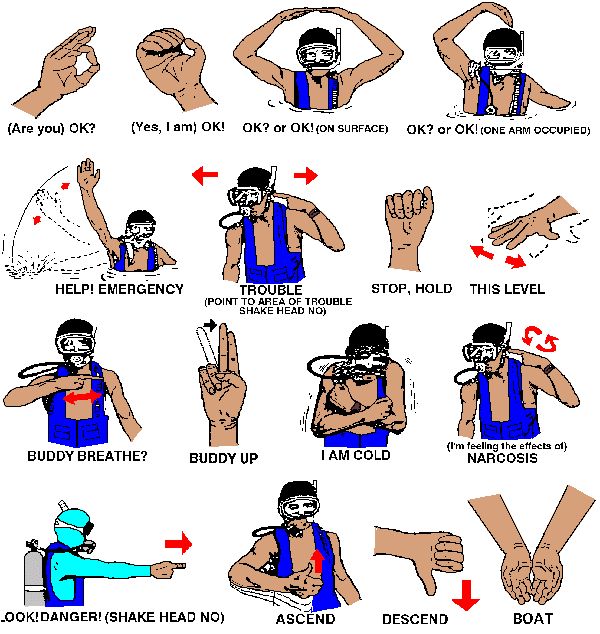 an image of how to use the correct hand signals for sports teams and coaches in their own hands