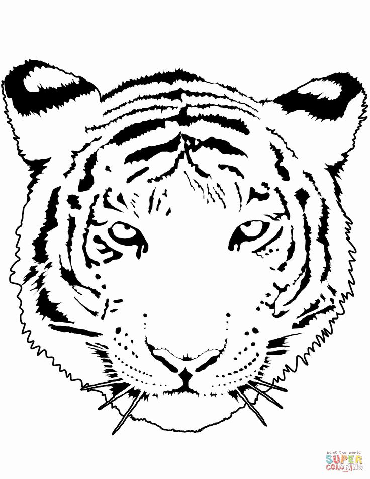 32 Saber tooth Tiger Coloring Page in 2020 Animal