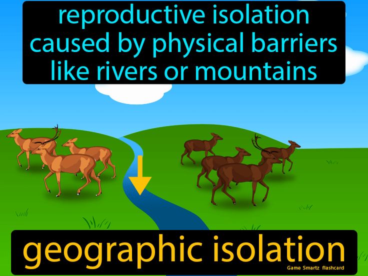 Geographic Isolation definition: Reproductive isolation caused by physical barriers like rivers or mountains. Population Density, Keystone Species, Exponential Growth, Easy Science, Different Species, Life Form, Funny Tweets, How To Run Longer, Life Changes