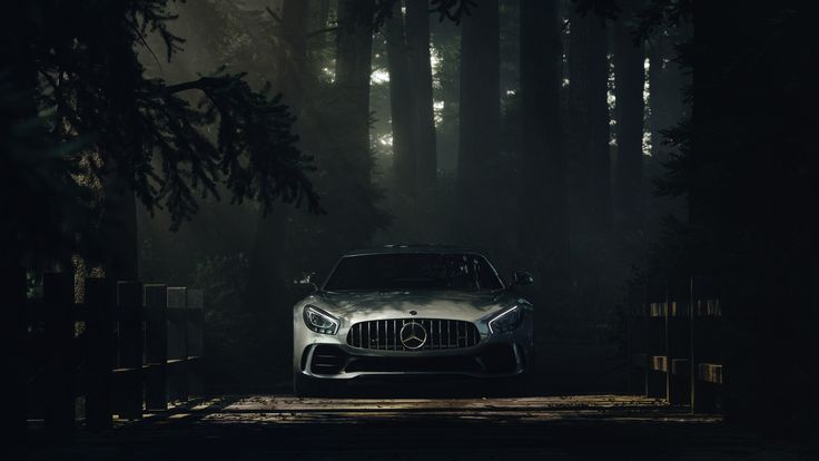 a car parked in the middle of a dark forest