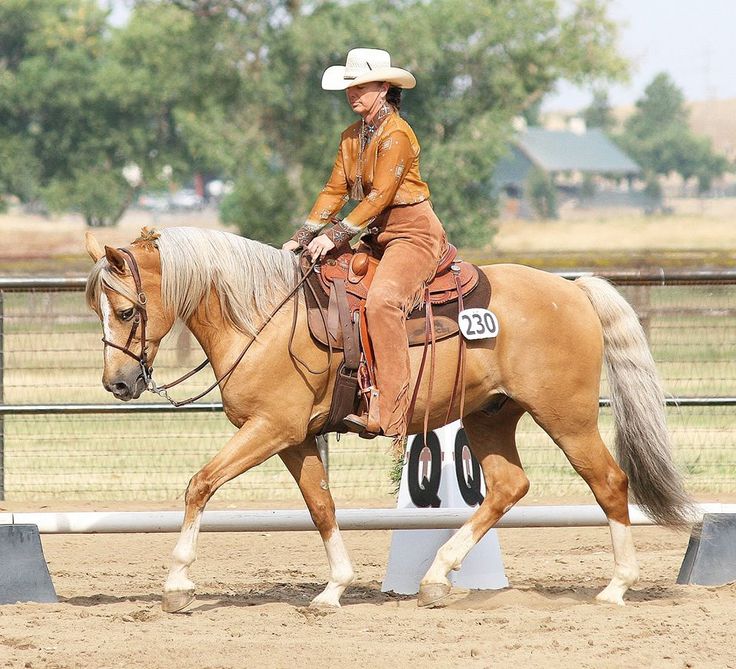 a man riding on the back of a brown horse