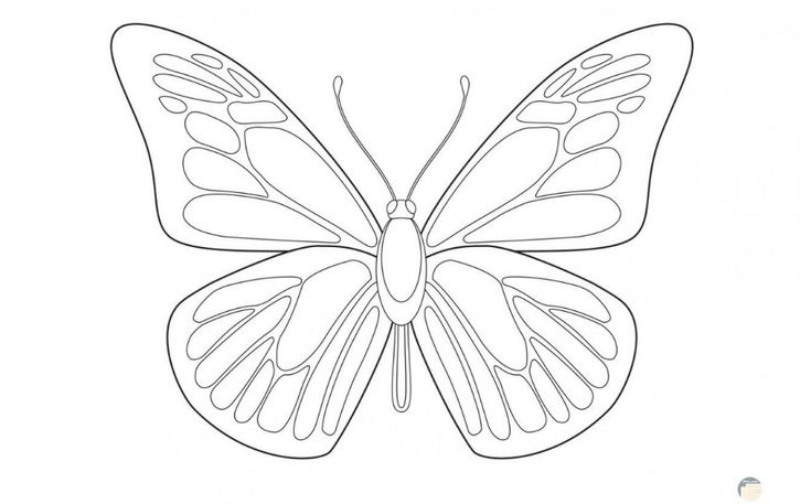 the outline of a butterfly is shown in black and white, with one wing extended