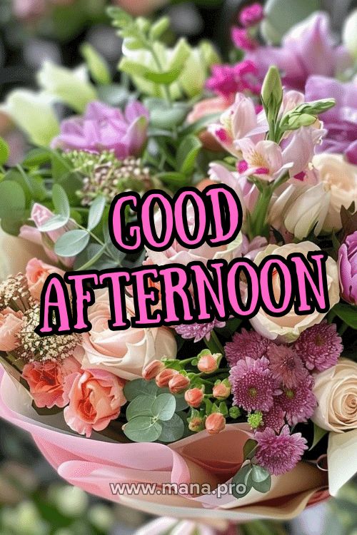 99+ Good Afternoon Images (Free HD Download) in 2024 | Good afternoon ...