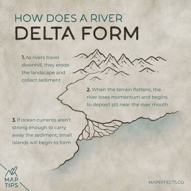 a map with instructions on how to use the river deltaformm for wildlife viewing