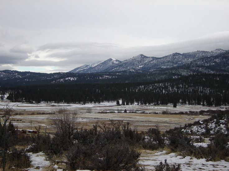 the mountains are covered with snow and trees in the foreground is an empty field