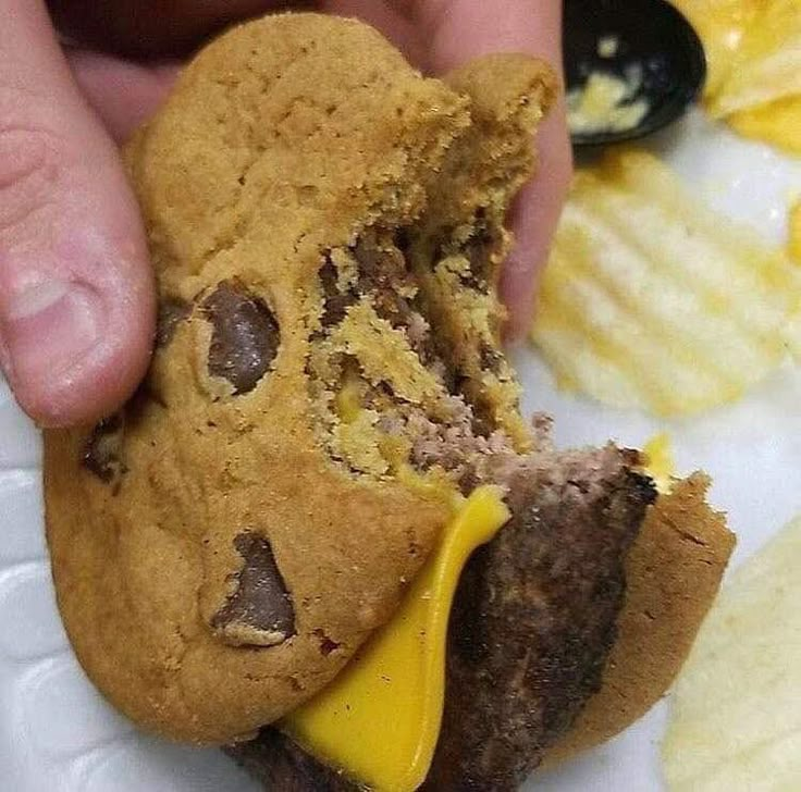 a close up of a person holding a cookie sandwich