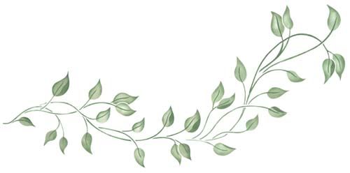 a branch with green leaves is shown on a white background