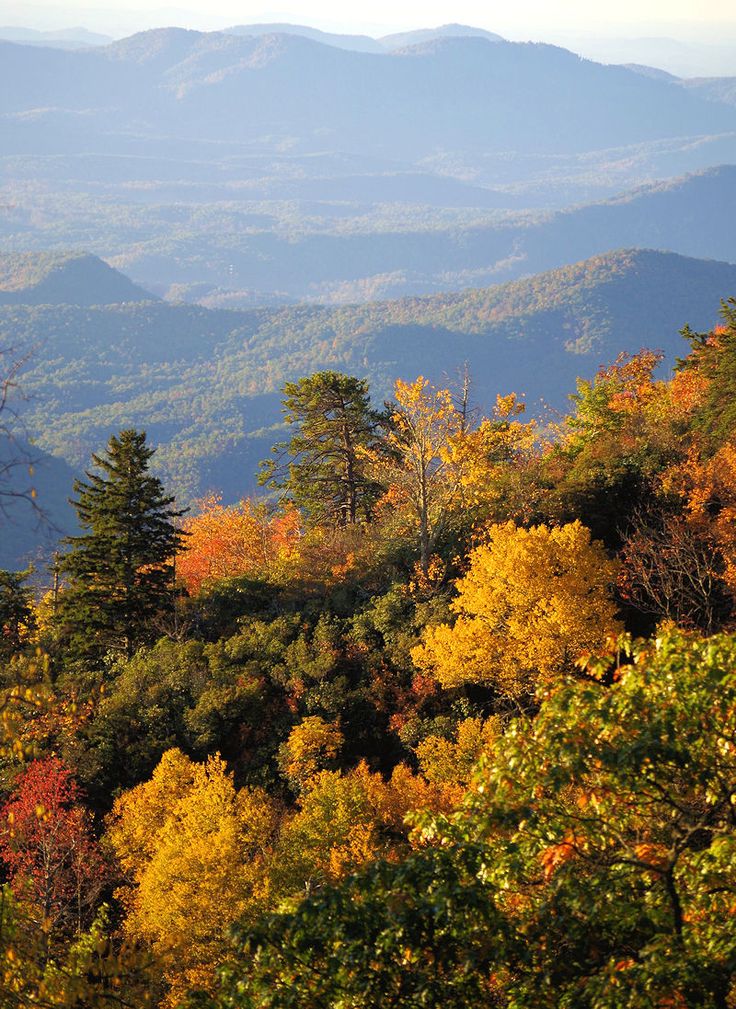 the mountains are covered in fall foliage and trees with yellow, red, and orange leaves