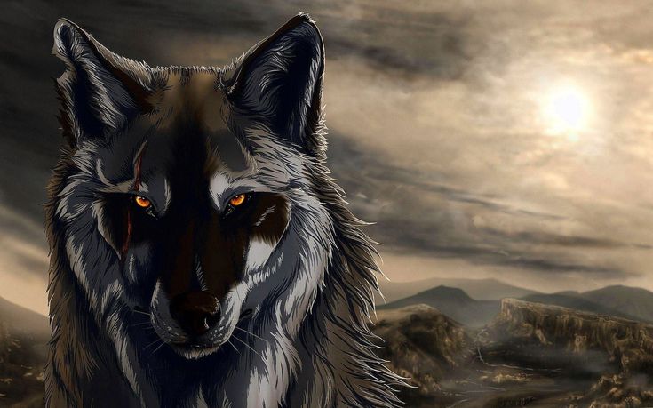 Anime Wolf 3D Wallpapers #Anime #Wolf #3D #Wallpapers | Anime Wolf, Wolf 3D, 3D Wallpaper