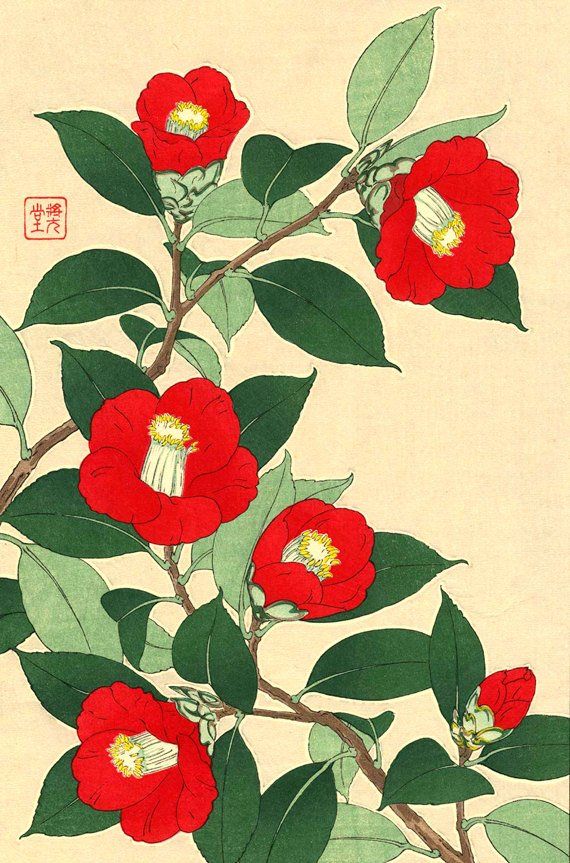 Japanese Flower Tattoo, Asian Flowers, Japanese Art Prints, Illustration Botanique, Botanical Art Prints, Japanese Embroidery, Japanese Woodblock, Japanese Flowers, Japanese Woodblock Printing