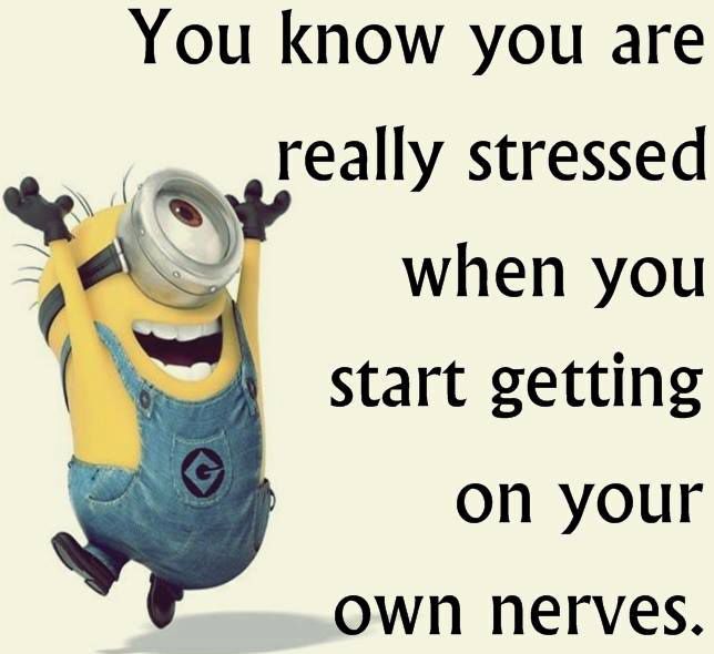 The true sign of stress. Haha! Funny Work Quotes, Minion Meme, Minions Fans, Minion Humour, Minion Love, Minions 1, Minion Humor, Minions 2, Funny Minion Memes