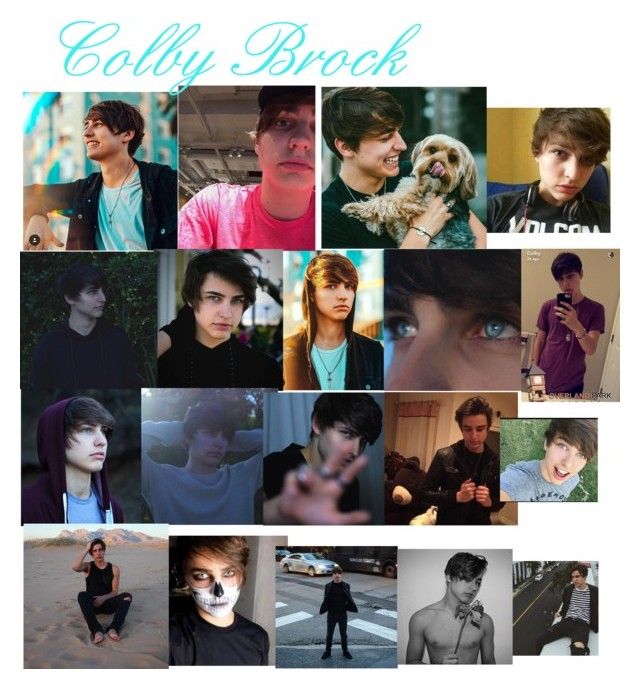 the collage shows many different people and their dog