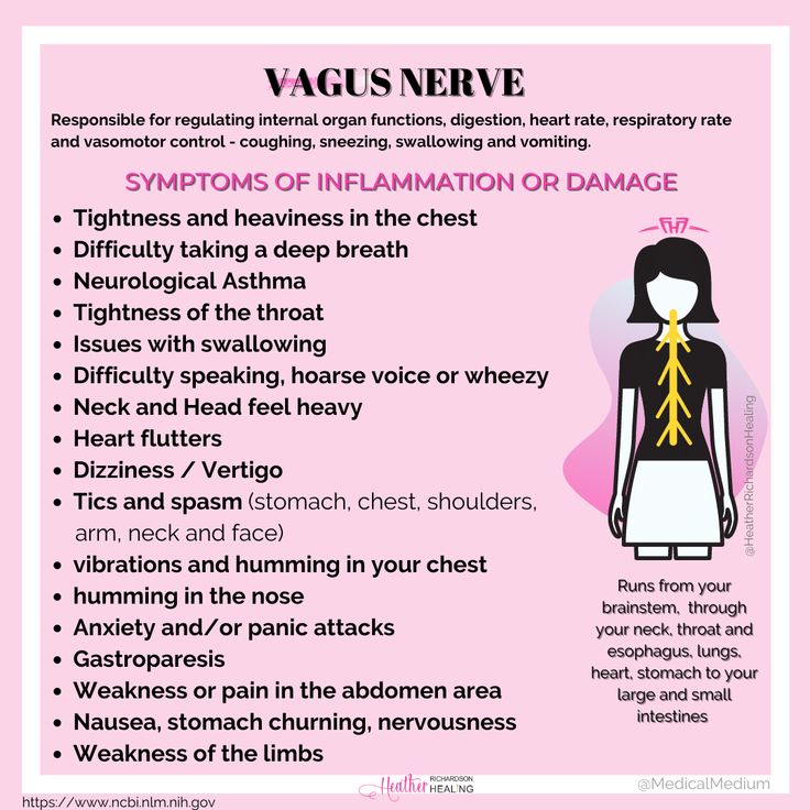 Responsible for regulating internal organ functions, digestion, heart rate, respiratory rate and vasomotor control - coughing, sneezing, swallowing and vomiting. Organ Functions, Respiratory Rate, Vagus Nerve, Brain Fog, Alzheimers, Respiratory, Nerve, Chronic Illness, Heart Rate