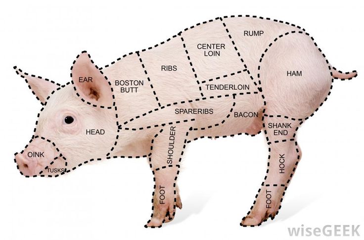 a pig's cuts are shown with the names of its meats on it