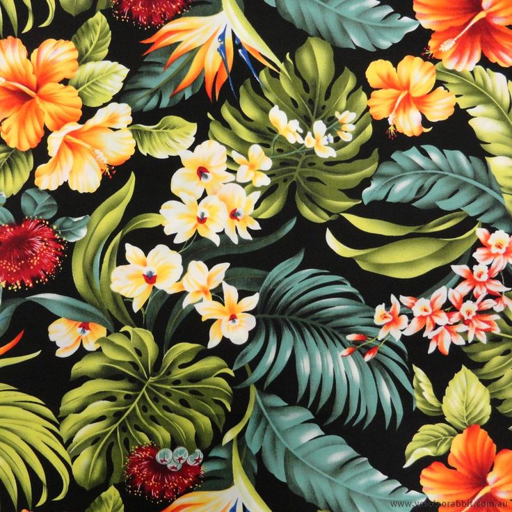 an image of tropical flowers and leaves on a black background with red, orange, yellow, green and white colors