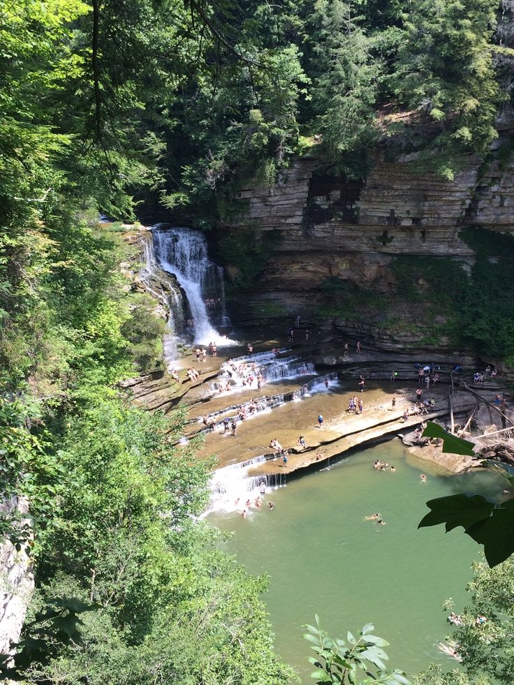 people are swimming in the water near a waterfall and some trees with green leaves on it