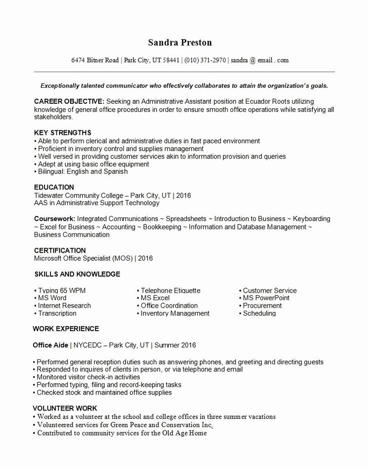 Current Resume Trends 2020 Unique the Best Resume Templates for 2019 ...