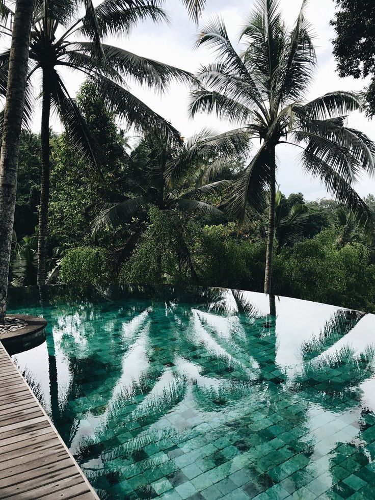 the pool is surrounded by palm trees and clear blue water, with a wooden walkway leading to it