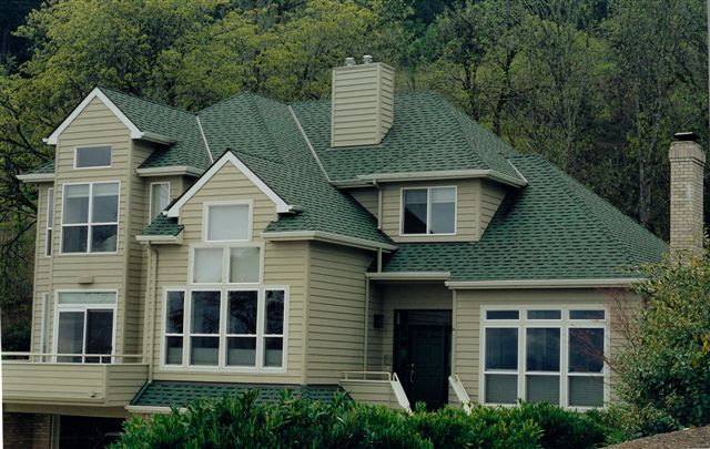 a large house with green roofing and white windows in front of some trees on the hill