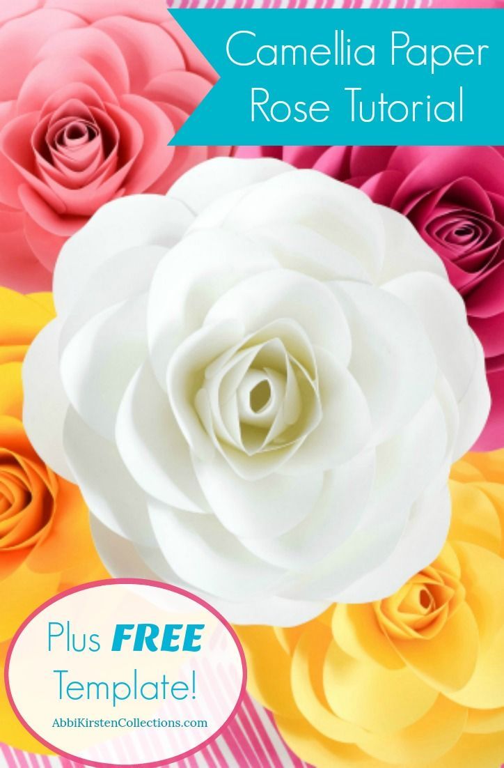 Free Large Paper Rose Template DIY Camellia Rose Tutorial PAPER