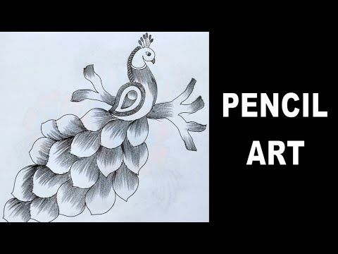 a pencil drawing of a peacock sitting on top of a tree branch with the words pencil art written below it