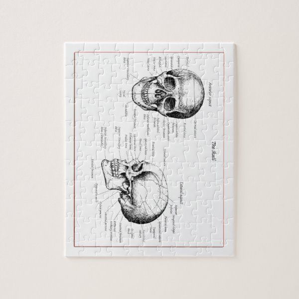 a puzzle with an image of two human skulls on it's side and one in the middle