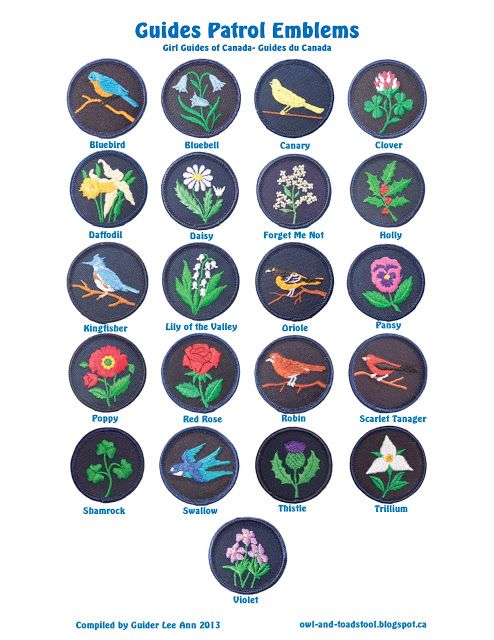 embroidered badges with flowers and birds are shown in the shape of an embellishment