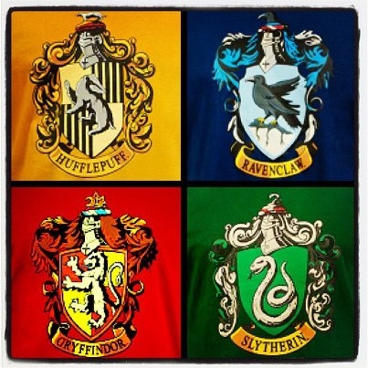 the four houses of harry potter are depicted in this photo, with their crests painted on them