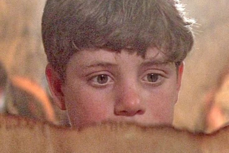 a close up of a child looking over a fence