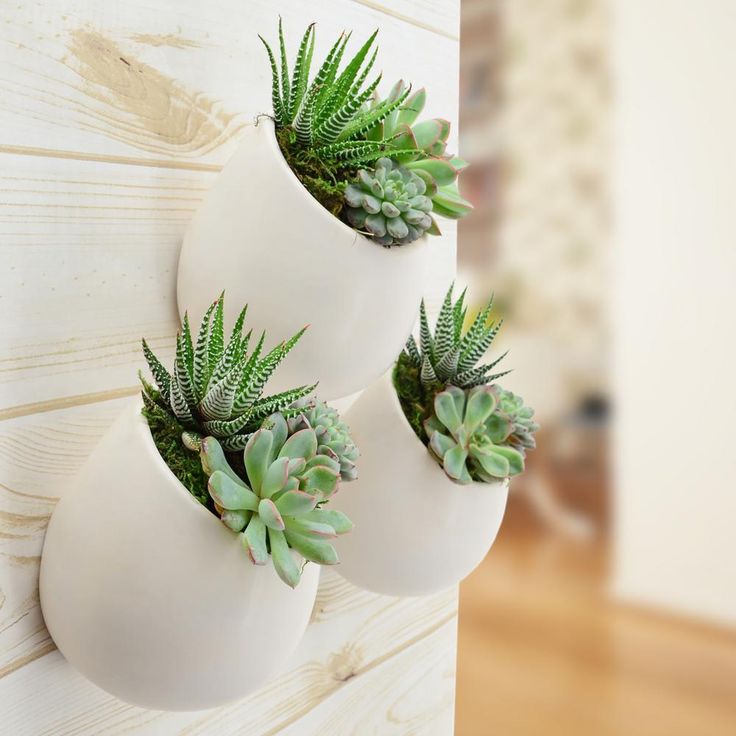 three white vases with green plants in them on a wooden wall mounted shelf next to a wood paneled wall