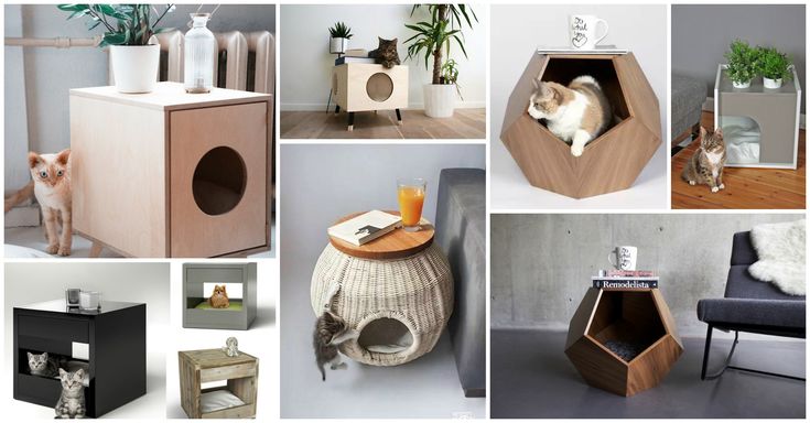 there are many different types of furniture in this collage, including cats and dogs