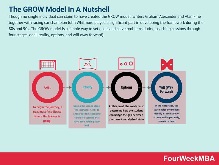 an info sheet with the words, the grow model in a nutshell on it