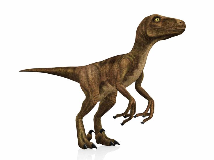 an image of a dinosaur that is walking