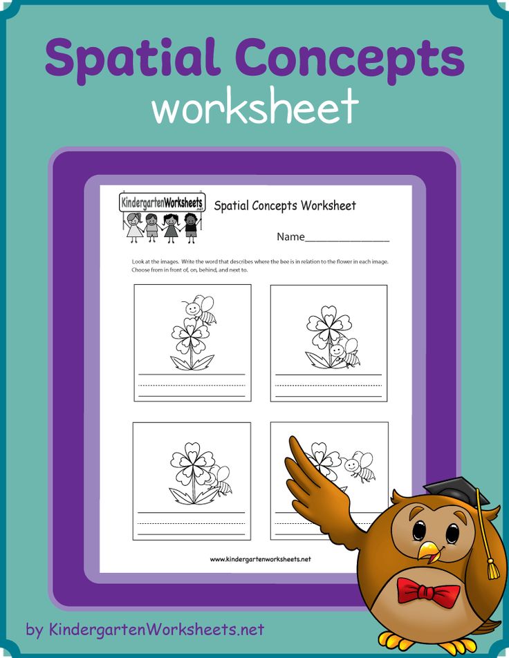 Spatial Concepts Worksheets