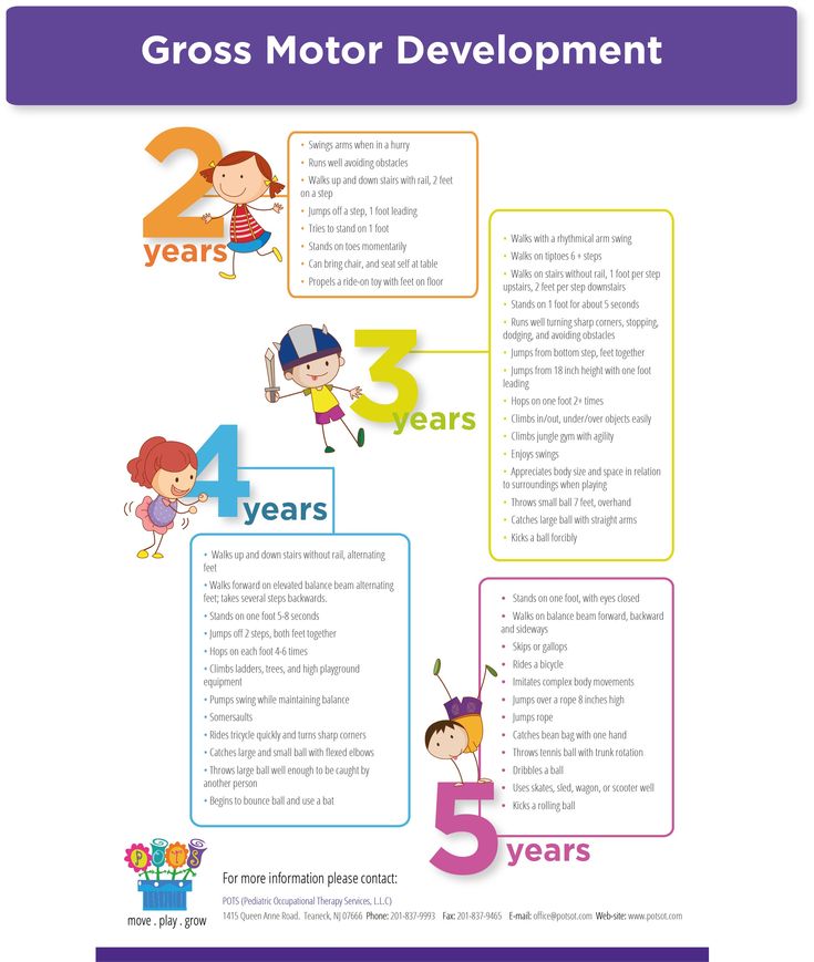 Gross Motor Milestone Chart