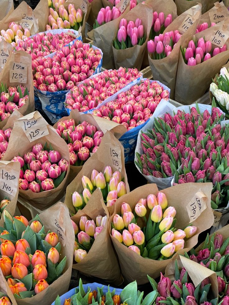 many different colored tulips are on display for sale at the flower market with price tags