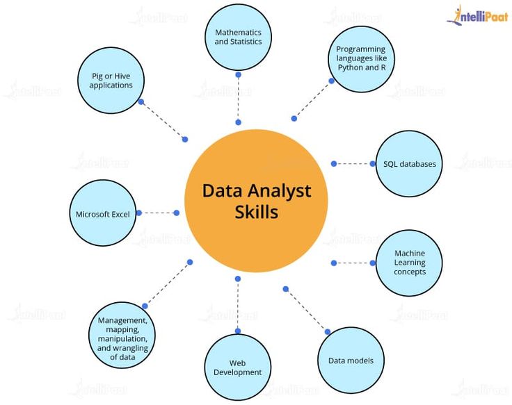 a diagram with the words data analist skills