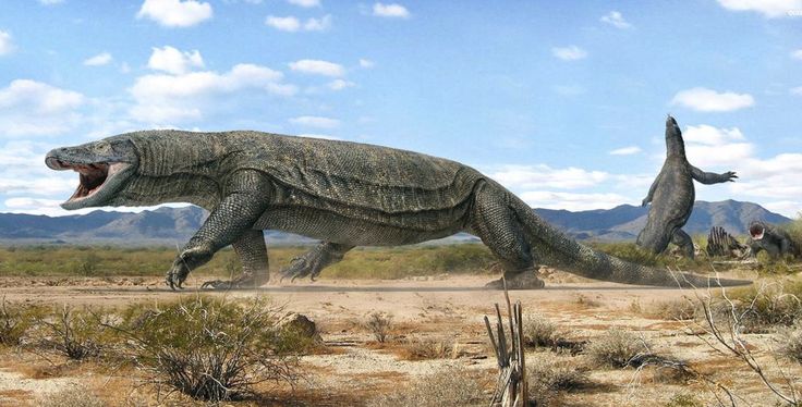 two large dinosaurs walking across a dirt field