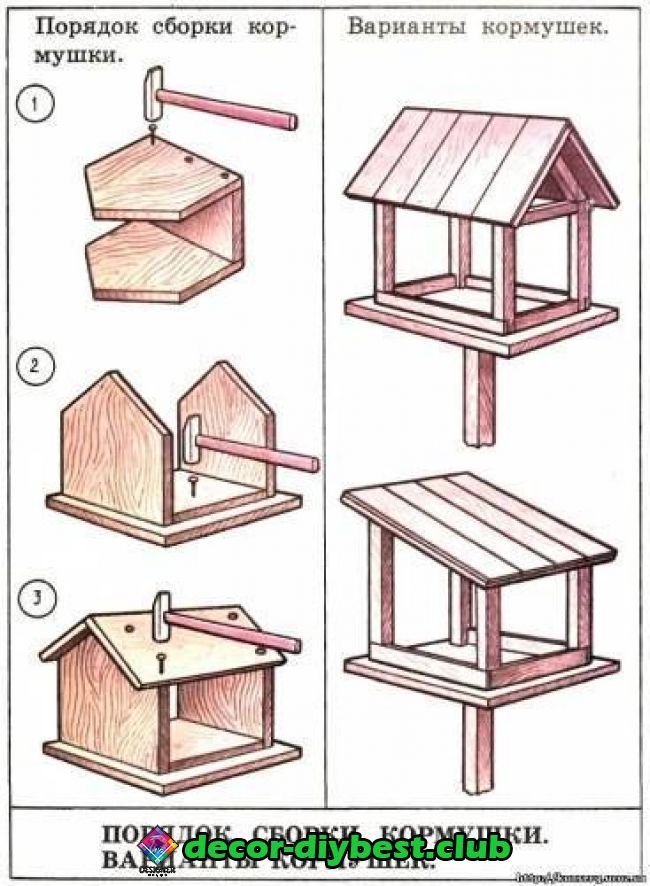 the instructions for building a bird house