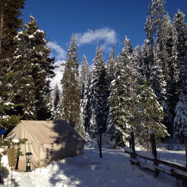 a tent in the snow surrounded by trees