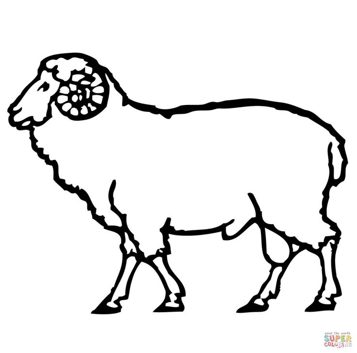 a black and white drawing of a ram