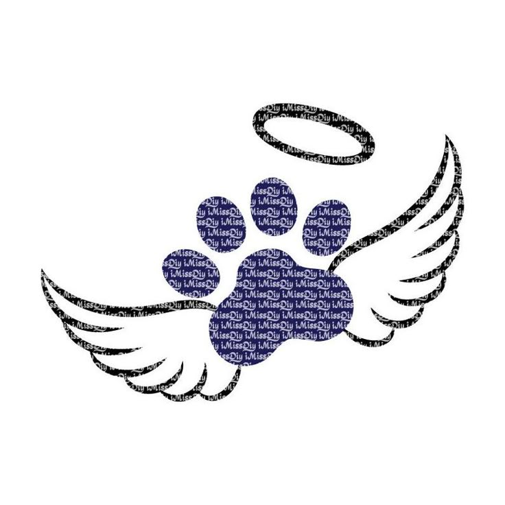 an image of a dog paw with angel wings