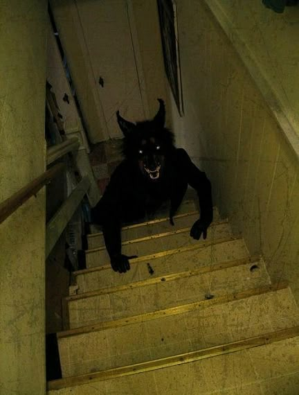 a black cat is sitting on the stairs