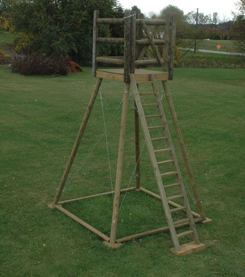 a wooden ladder in the grass near trees