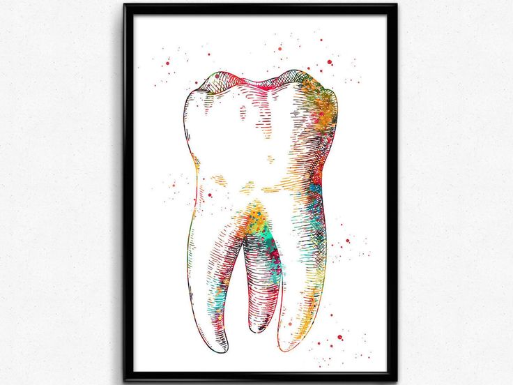 Human tooth watercolor print tooth posterhuman anatomy art | Etsy Tooth Watercolor, Tooth Poster, Dental Illustration, Dental Business Cards, Dentist Art, Dental Education, Poster Design Ideas, Teeth Art, Dental Facts