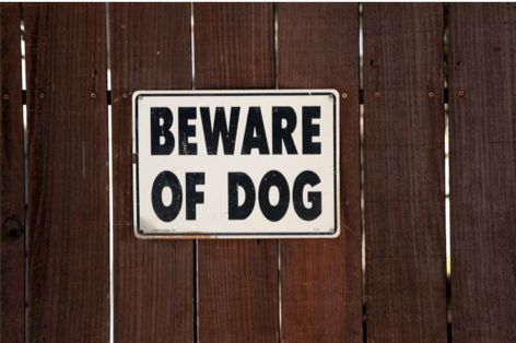 Beware Of Dog Sign Florida Law | Beware of dog, Dog biting, Dog signs