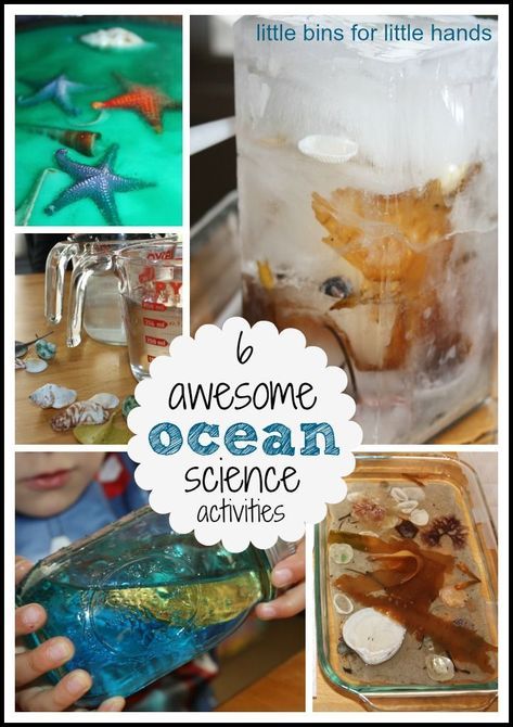 the ocean science activities are great for kids