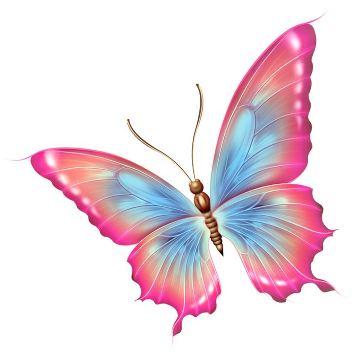 a pink and blue butterfly flying in the air