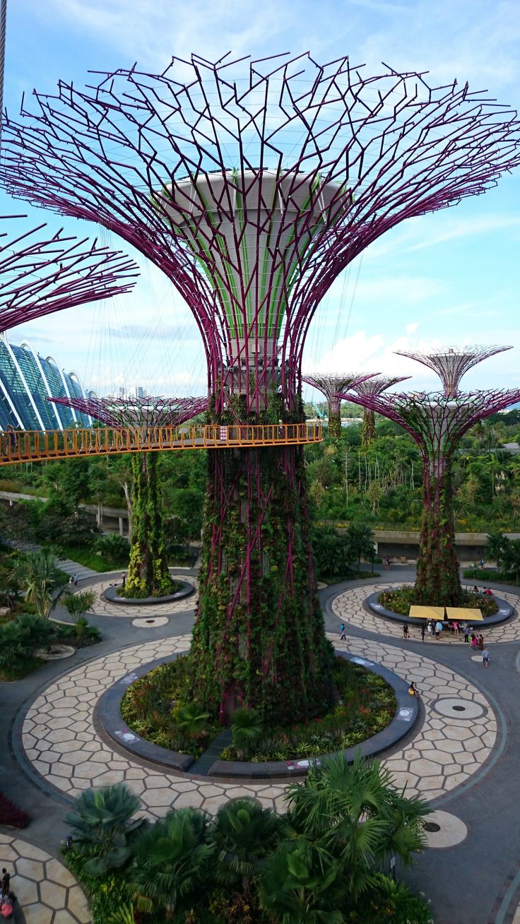 the giant trees in gardens by the bay are covered with purple vines and foliages